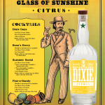 Dixie Citrus Recipes